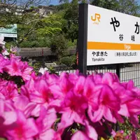 谷峨駅の写真・動画_image_134672