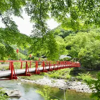香嵐溪の写真・動画_image_1351785
