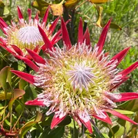 初島公園の写真・動画_image_1352851