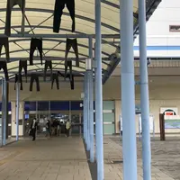 児島駅の写真・動画_image_1356215