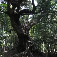 天神社の写真・動画_image_1358249