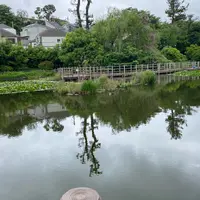 白幡池公園の写真・動画_image_1358740