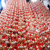 地球屋の写真・動画_image_1358828