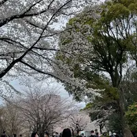 飛鳥山公園の写真・動画_image_1358965