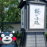 熊本城桜の小路の写真・動画_image_1360016