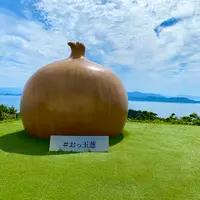 おっ玉葱の写真・動画_image_1360985
