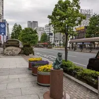 桃太郎大通りの写真・動画_image_1366526