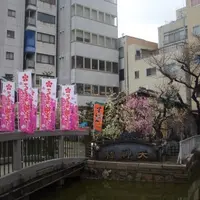 うどん双樹の写真・動画_image_136949