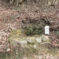日本一小さい池宝池の写真・動画_image_1371133