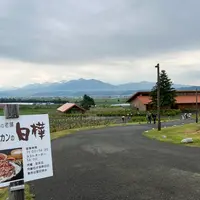 ジンギスカン白樺 富良野店の写真・動画_image_1373643