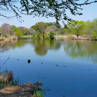 見沼自然公園の写真・動画_image_1374018