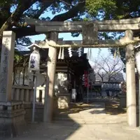 鷹合神社の写真・動画_image_137462