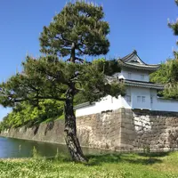 元離宮 二条城の写真・動画_image_137654