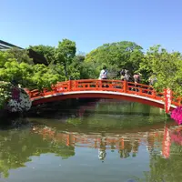 神泉苑の写真・動画_image_137656