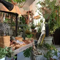 Cotoha（コトハ）の写真・動画_image_137657