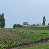 ペンションケンとメリーの写真・動画_image_1378537