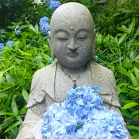 明月院（あじさい寺）の写真・動画_image_1379672