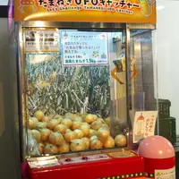 うずの丘　大鳴門橋記念館の写真・動画_image_138364