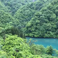 猿専用の吊橋の写真・動画_image_1383701