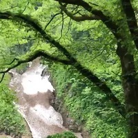 黒部の万年雪の写真・動画_image_1383714