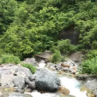 ウド谷の写真・動画_image_1383715