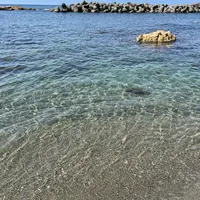 藻浦崎公園の写真・動画_image_1384549