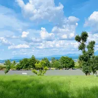 ファーム富田の写真・動画_image_1384625