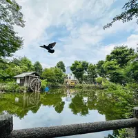 鍋島松濤公園の写真・動画_image_1386516