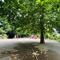 氷川の杜公園の写真・動画_image_1386625