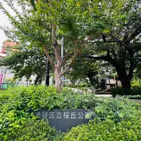 渋谷区立桜丘公園の写真・動画_image_1387083