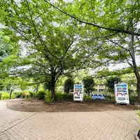 神宮通公園の写真・動画_image_1387086