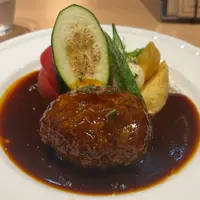 京洋食まつもとの写真・動画_image_1393540