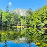 みどり池の写真・動画_image_1394099