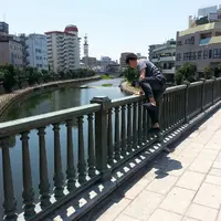 田川の写真・動画_image_139842