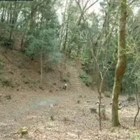 生駒台みんなの森の写真・動画_image_139892