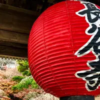 長谷寺の写真・動画_image_1401392