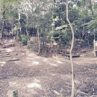 生駒台みんなの森の写真・動画_image_140342