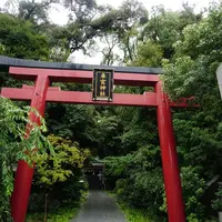 來宮神社の写真・動画_image_140444