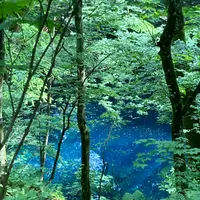 青池の写真・動画_image_1404476