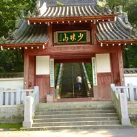 少林山達磨寺の写真・動画_image_140645