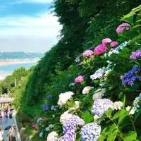 成就院の写真・動画_image_1408020