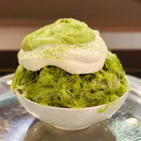 ねもとらの写真・動画_image_1408299