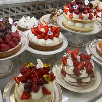 Bontempsの写真・動画_image_1409769