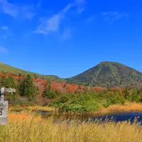 睡蓮沼の写真・動画_image_1413447
