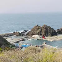 龍飛崎の写真・動画_image_1418565