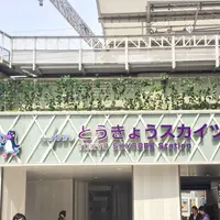 とうきょうスカイツリー駅の写真・動画_image_141890