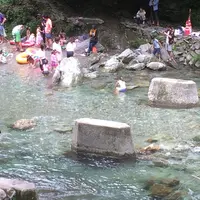 霧の森の写真・動画_image_142054