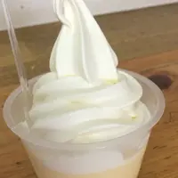 大観峰展望所の写真・動画_image_142314