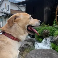 千国街道（塩の道）塩島新田宿の写真・動画_image_1423691