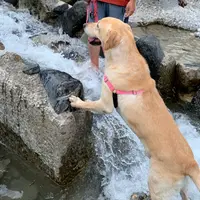 白馬フォーティーセブンの写真・動画_image_1423696